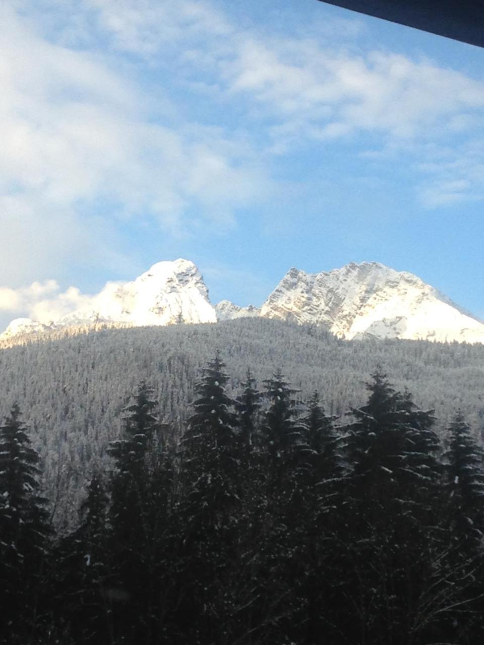 Königssee Almhotel Gruensteinblick מראה חיצוני תמונה